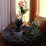 Bonita Casita Strigoniu