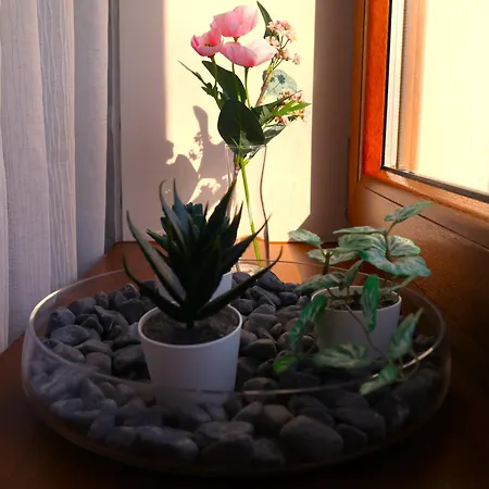 Bonita Casita Эстергом